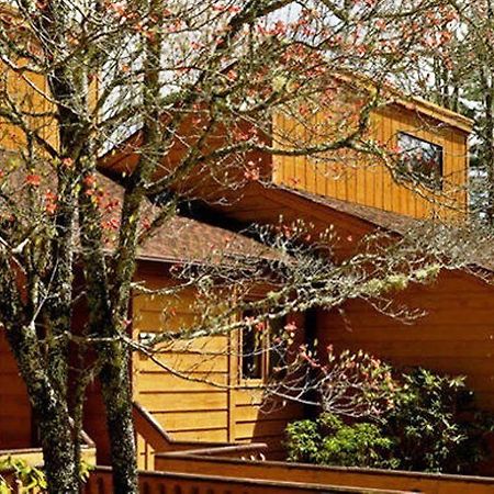 Fairway Forest Resort Sapphire Kültér fotó