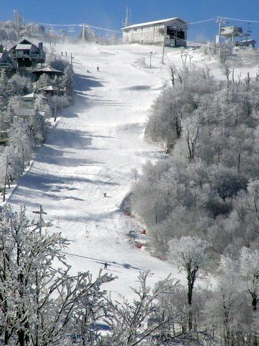 Fairway Forest Resort Sapphire Kültér fotó
